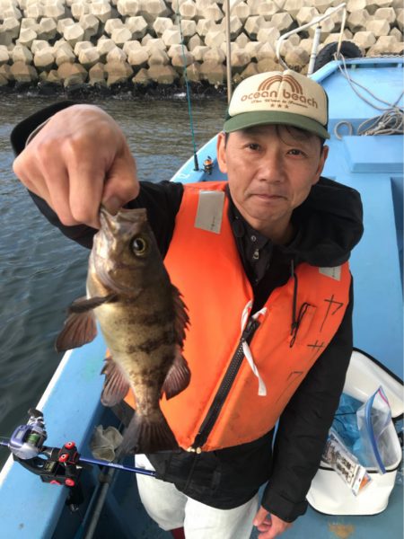 ヤザワ渡船 釣果