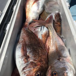 第二八坂丸 釣果