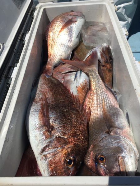 第二八坂丸 釣果