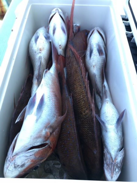 第二八坂丸 釣果