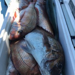 第二八坂丸 釣果