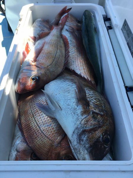 第二八坂丸 釣果