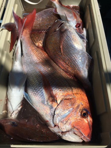 第二八坂丸 釣果