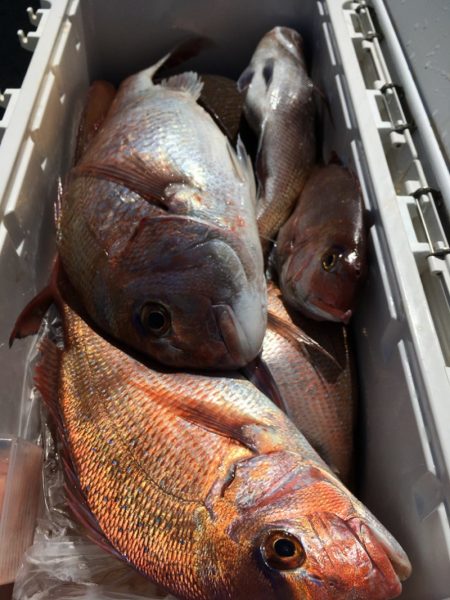 第二八坂丸 釣果