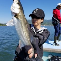 アマテラス 釣果