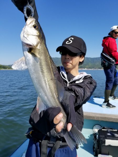 アマテラス 釣果