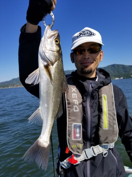 アマテラス 釣果