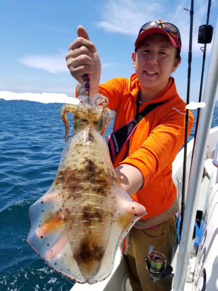 ソルトウォーターガイドフレンズ 釣果