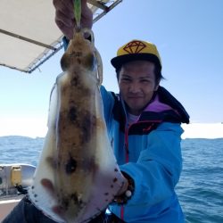 ソルトウォーターガイドフレンズ 釣果