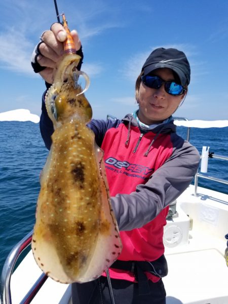 ソルトウォーターガイドフレンズ 釣果