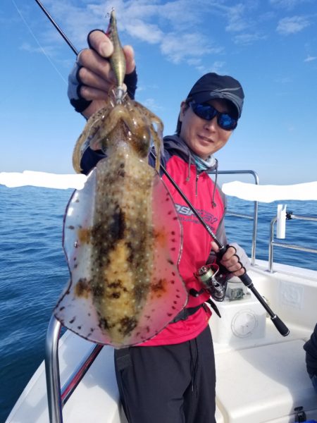 ソルトウォーターガイドフレンズ 釣果