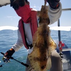 ソルトウォーターガイドフレンズ 釣果