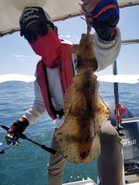 ソルトウォーターガイドフレンズ 釣果