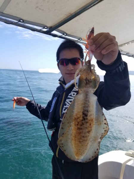 ソルトウォーターガイドフレンズ 釣果