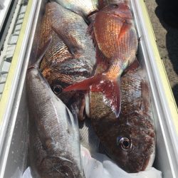 第二八坂丸 釣果