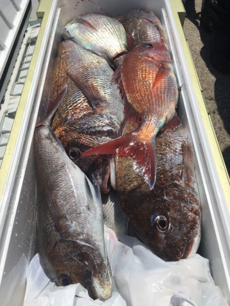 第二八坂丸 釣果