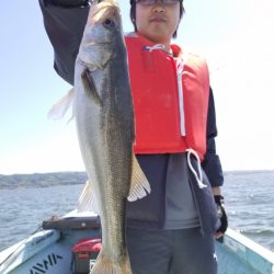 アマテラス 釣果