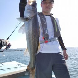 アマテラス 釣果