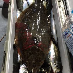 エヌスタイル 釣果