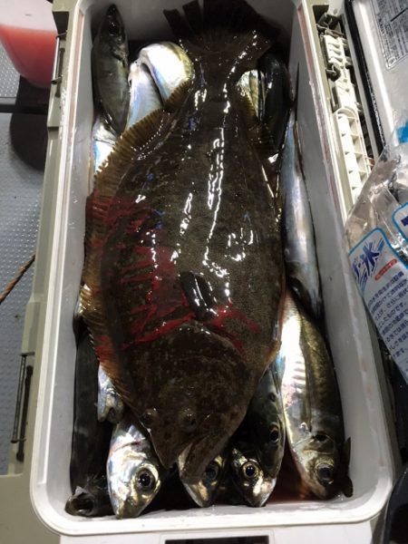 エヌスタイル 釣果