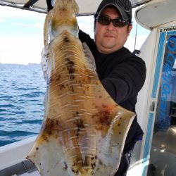 ソルトウォーターガイドフレンズ 釣果