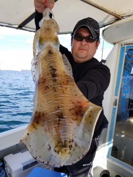 ソルトウォーターガイドフレンズ 釣果