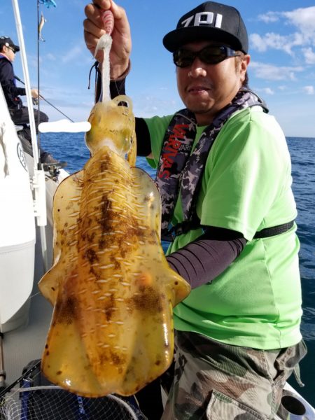 ソルトウォーターガイドフレンズ 釣果