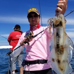 ソルトウォーターガイドフレンズ 釣果