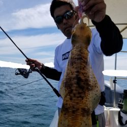 ソルトウォーターガイドフレンズ 釣果