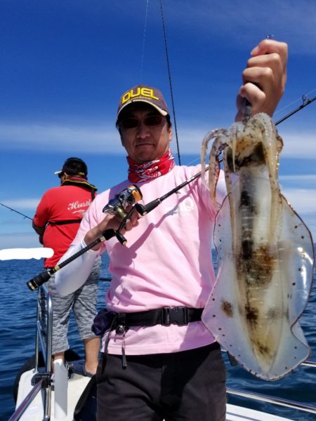 ソルトウォーターガイドフレンズ 釣果