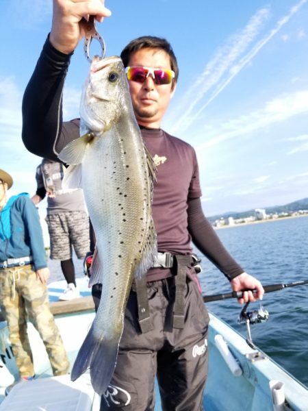 アマテラス 釣果