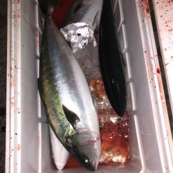 あみや渡船 JIGBOY 釣果