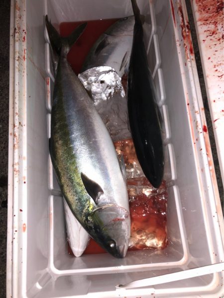 あみや渡船 JIGBOY 釣果