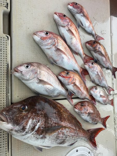 大雄丸 釣果