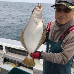 シーランチ 釣果