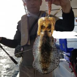 ソルトウォーターガイドフレンズ 釣果