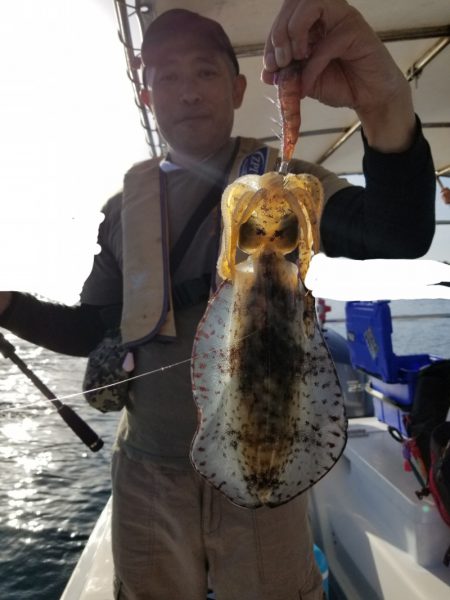 ソルトウォーターガイドフレンズ 釣果