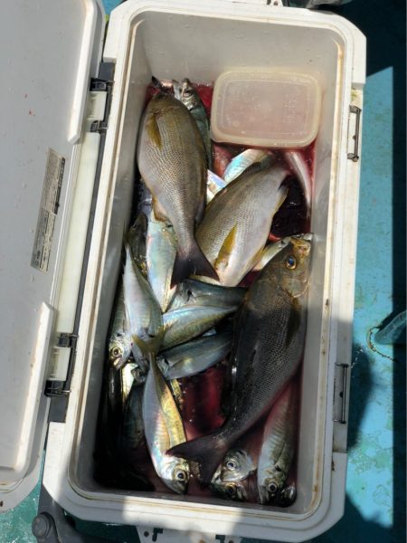 丸万釣船 釣果