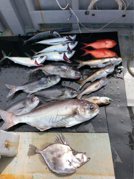 ＴＡＲＯＭＡＲＵ 釣果