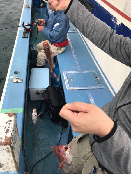 ヤザワ渡船 釣果