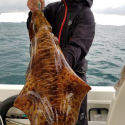 ソルトウォーターガイドフレンズ 釣果