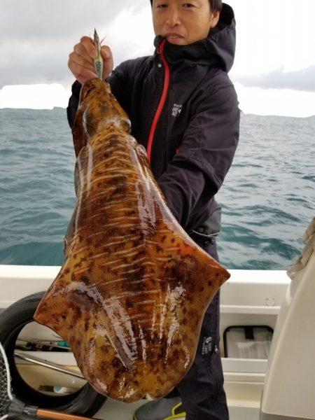 ソルトウォーターガイドフレンズ 釣果