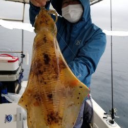 ソルトウォーターガイドフレンズ 釣果