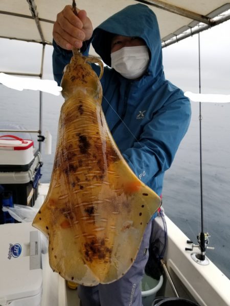 ソルトウォーターガイドフレンズ 釣果