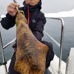 ソルトウォーターガイドフレンズ 釣果