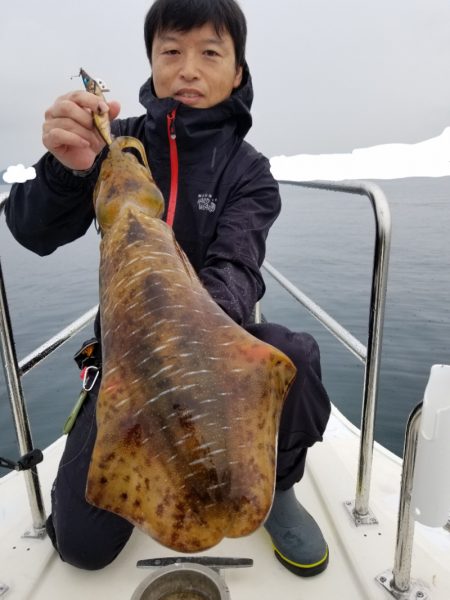 ソルトウォーターガイドフレンズ 釣果