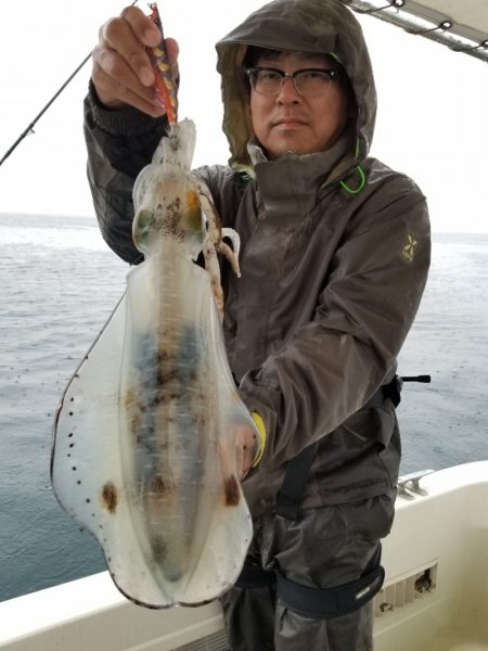 ソルトウォーターガイドフレンズ 釣果