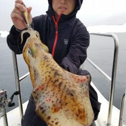 ソルトウォーターガイドフレンズ 釣果