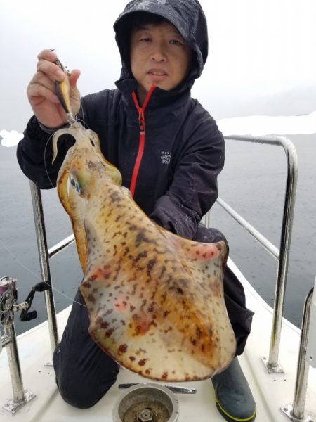 ソルトウォーターガイドフレンズ 釣果