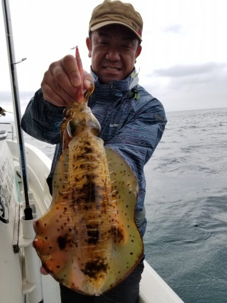 ソルトウォーターガイドフレンズ 釣果